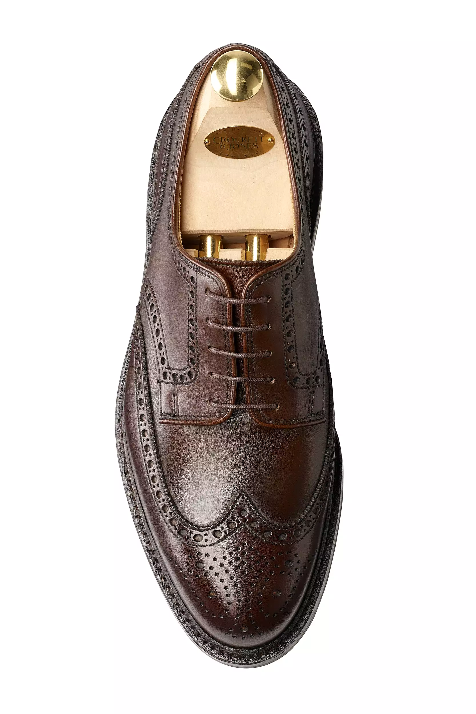 Pembroke Derby Shoe